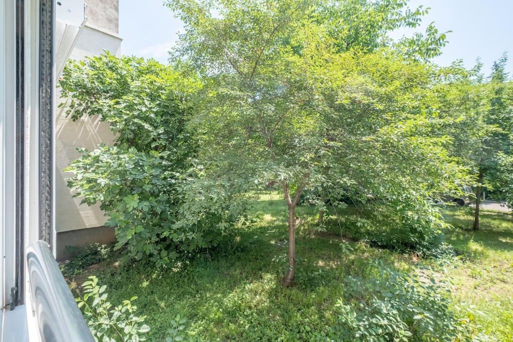 Top Location, Brand New 3 Bdrm Apt & Free Parking Σόφια Εξωτερικό φωτογραφία